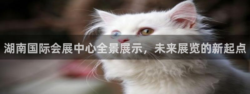 果博官方：湖南国际会展中心全景展示，未来