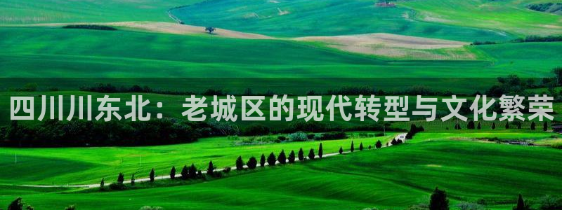 果博管理网:四川川东北:老城区的现代转型