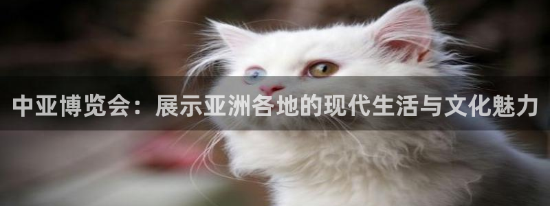 果博官网客服电话号码：中亚博览会：展示亚洲各地的现代生活与文化魅力