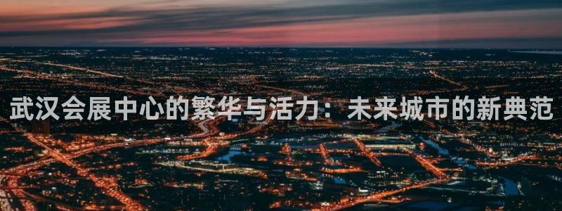 果搏代理：武汉会展中心的繁华与活力：未来
