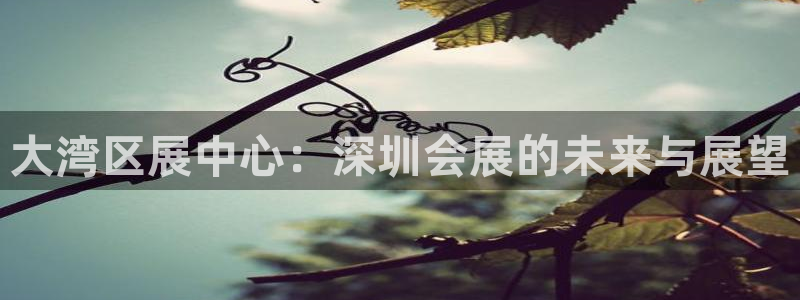 果博公司会员注册账号：大湾区展中心：深圳