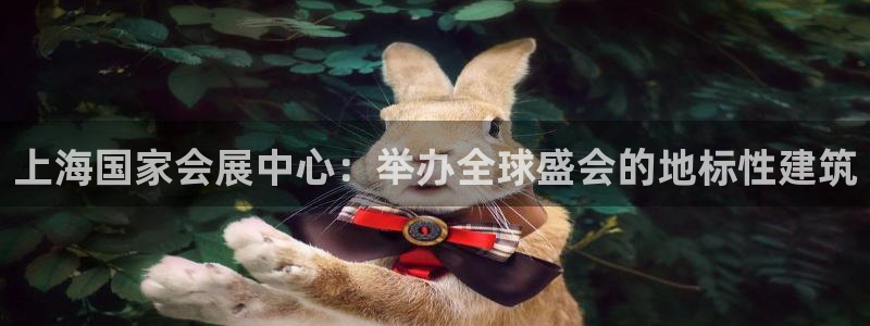果博账号注册：上海国家会展中心：举办全球