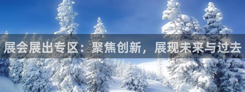 果博公司客服微信号是多少：展会展出专区：聚焦创新，展现未来与过去