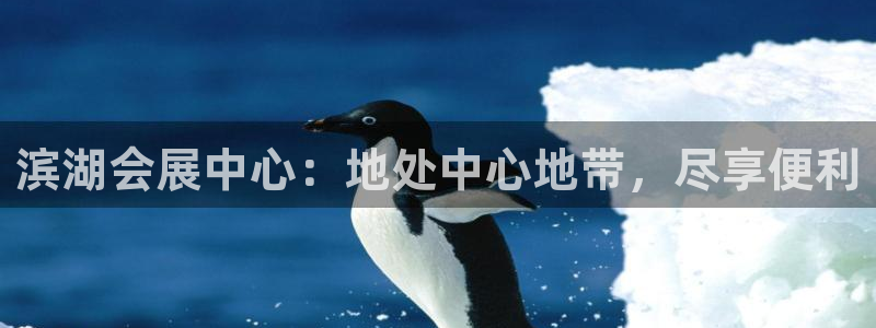 果搏东方客服：滨湖会展中心：地处中心地带