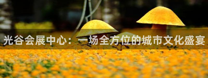 果博注册客服电话号码查询：光谷会展中心：一场全方位的城市文化盛宴