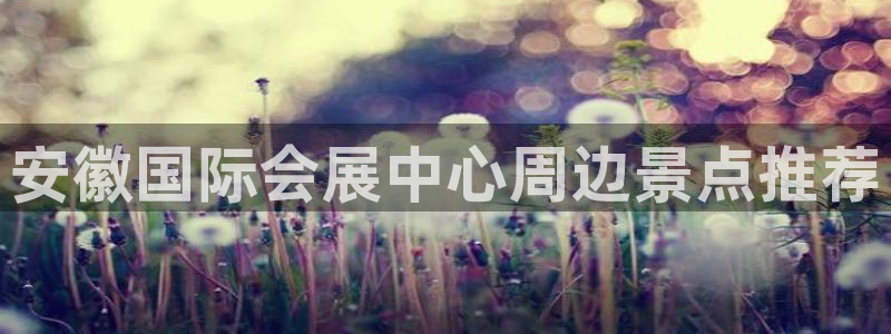 果博公司客服微信：安徽国际会展中心周边景点推荐