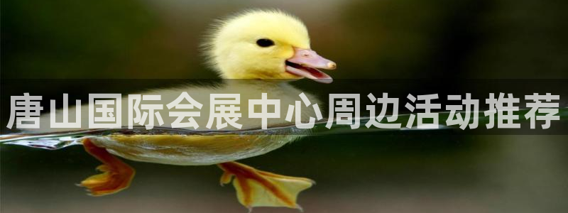 果博公司会员开户