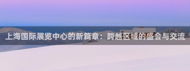 苹果电脑可以下载博易大师吗：上海国际展览中心的新篇章：跨越区域的盛会与交流