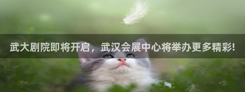 果博客服电话哪里找：武大剧院即将开启，武