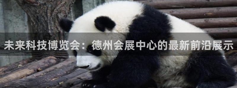 果博东官方网站怎么下载：未来科技博览会：德州会展中心的最新前沿展示