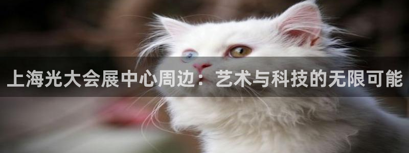 果博注册客服电话号码：上海光大会展中心周边：艺术与科技的无限可能