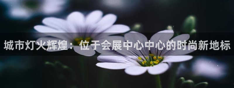 果博公司联系电话：城市灯火辉煌：位于会展