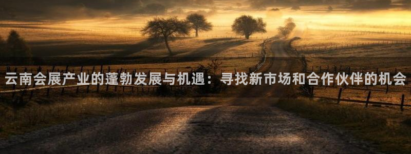 果博公司客服联系方式：云南会展产业的蓬勃