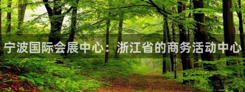 下载果博博东方：宁波国际会展中心：浙江省的商务活动