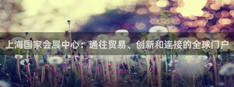 果博注册会员要钱吗：上海国家会展中心：通往贸易、创