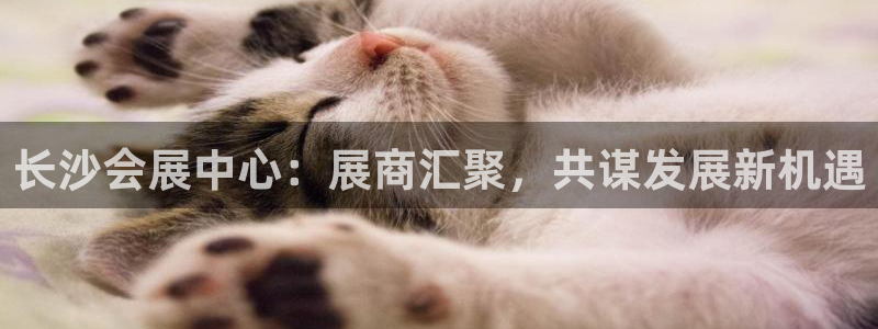 果博电话：长沙会展中心：展商汇聚，共谋发展新机遇