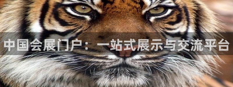 果博注册平台怎么注册的：中国会展门户：一