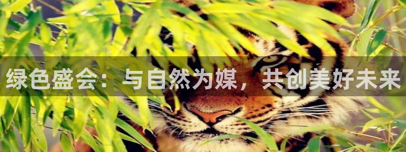 果博代理网：绿色盛会：与自然为媒，共创美