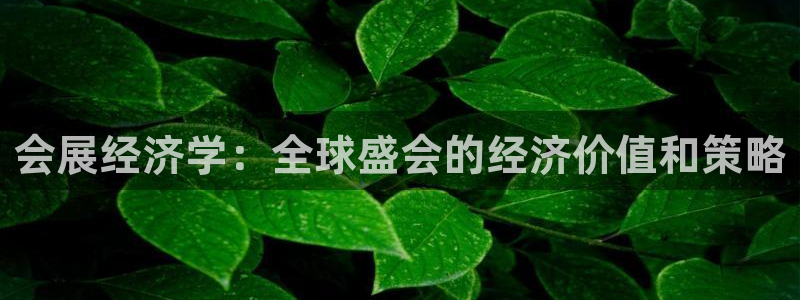 果博公司网站：会展经济学：全球盛会的经济