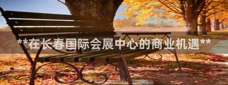 果博平台怎么下载?：**在长春国际会展中