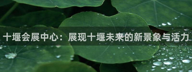 果博平台怎么下载?：十堰会展中心：展现十