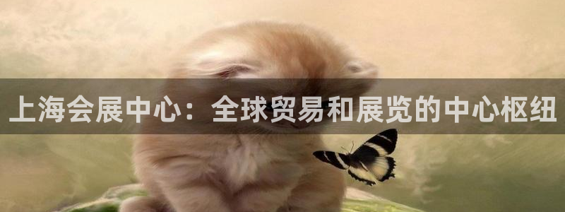 果博手机版官方下载：上海会展中心：全球贸