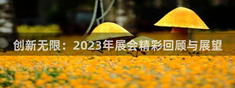 下载果博博东方下载：创新无限：2023年