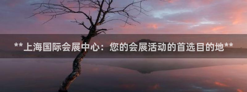 果博代理：**上海国际会展中心：您的会展
