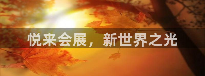 果博公司直属会员开户：悦来会展，新世界之