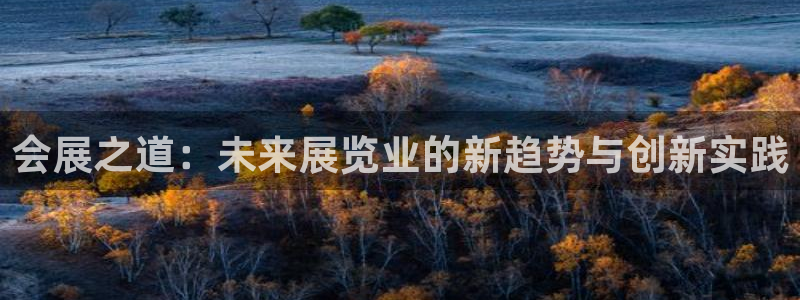 果博注册平台怎么注册：会展之道：未来展览业的新趋势与创新实践