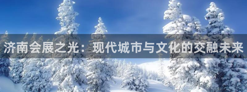 果博公司上分客服：济南会展之光：现代城市与文化的交融未来
