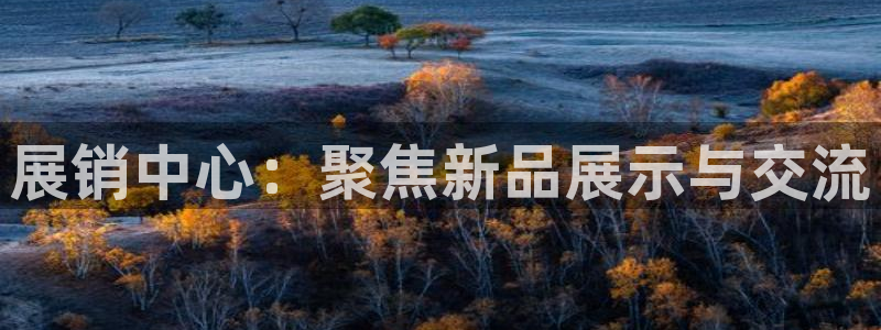 果博代理怎么注册：展销中心：聚焦新品展示与交流