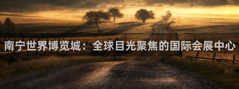 果博平台怎么下载?：南宁世界博览城：全球