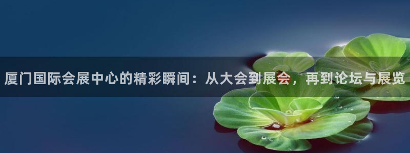 果博公司怎么注册会员：厦门国际会展中心的精彩瞬间：从大会到展会，再到论坛与展览