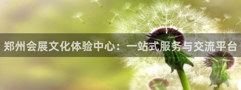 果博账号注册：郑州会展文化体验中心：一站式服务与交