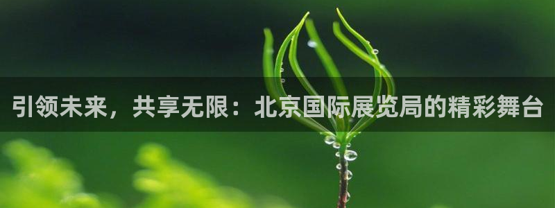果博代理网：引领未来，共享无限：北京国际展览局的精