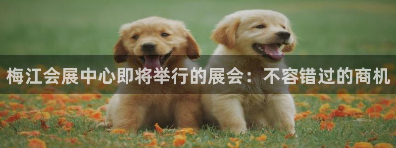 果博注册会员维wckk389