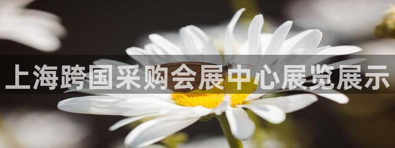 果博平台电话