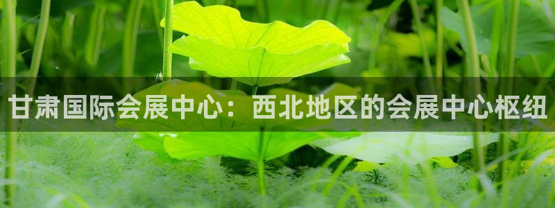 果博公司会员注册账号：甘肃国际会展中心：