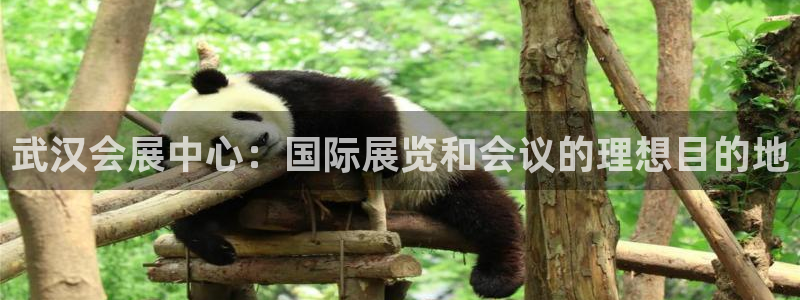 果博手机版官方下载：武汉会展中心：国际展