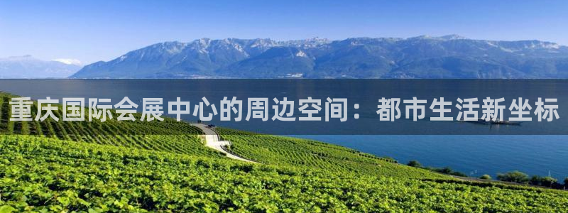 果博官方网：重庆国际会展中心的周边空间：