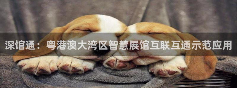 果博怎么注册账号和密码：深馆通：粤港澳大