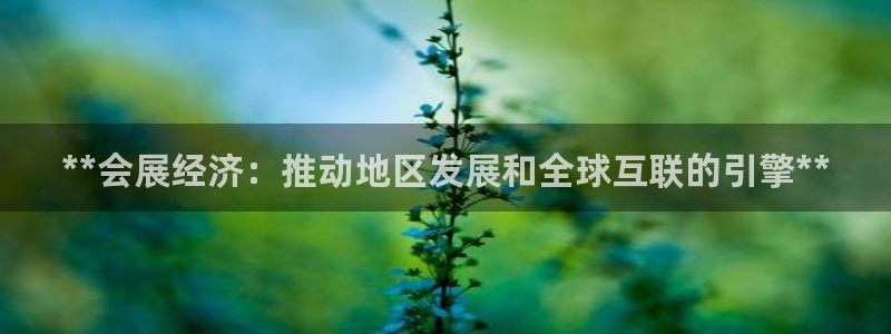 果博公司客服微信怎么加：**会展经济：推动地区发展