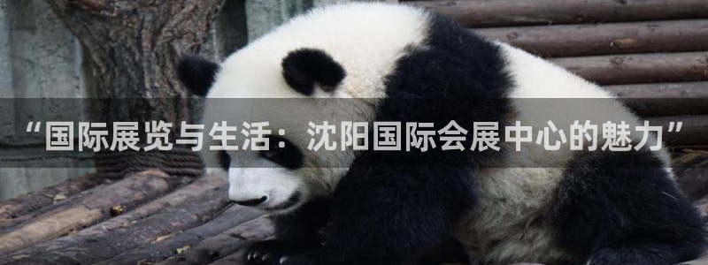 果博网站二维码：“国际展览与生活：沈阳国