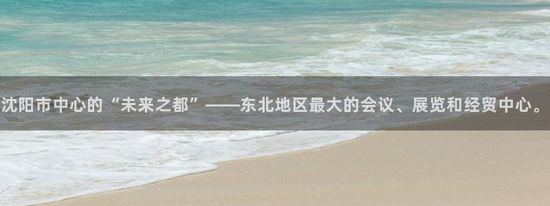 果博东手机版下载开户：沈阳市中心的“未来